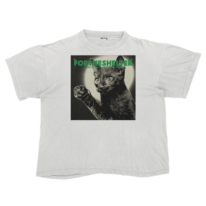 Catokopia - Tyler, The Creator Chromakopia Cat Parody