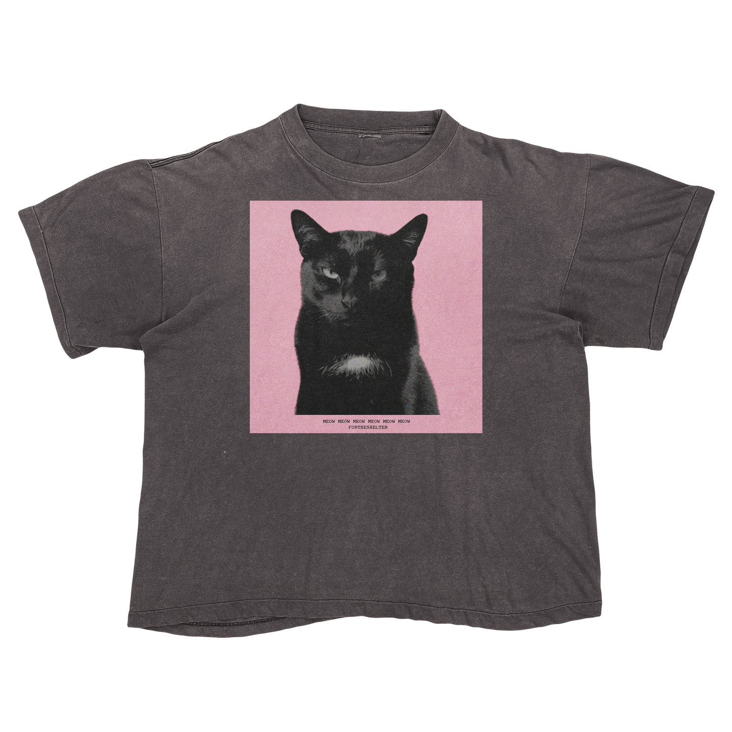 Tyler, The Cat | Tyler, The Creator Igor Parody Tee Shirt