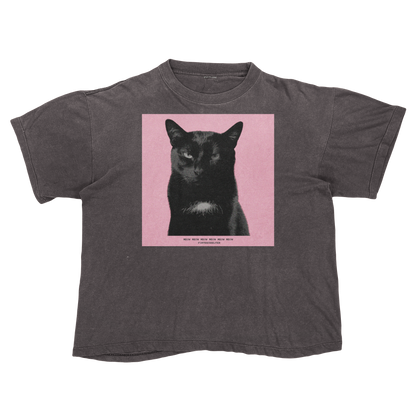 Tyler, The Cat | Tyler, The Creator Igor Parody Tee Shirt