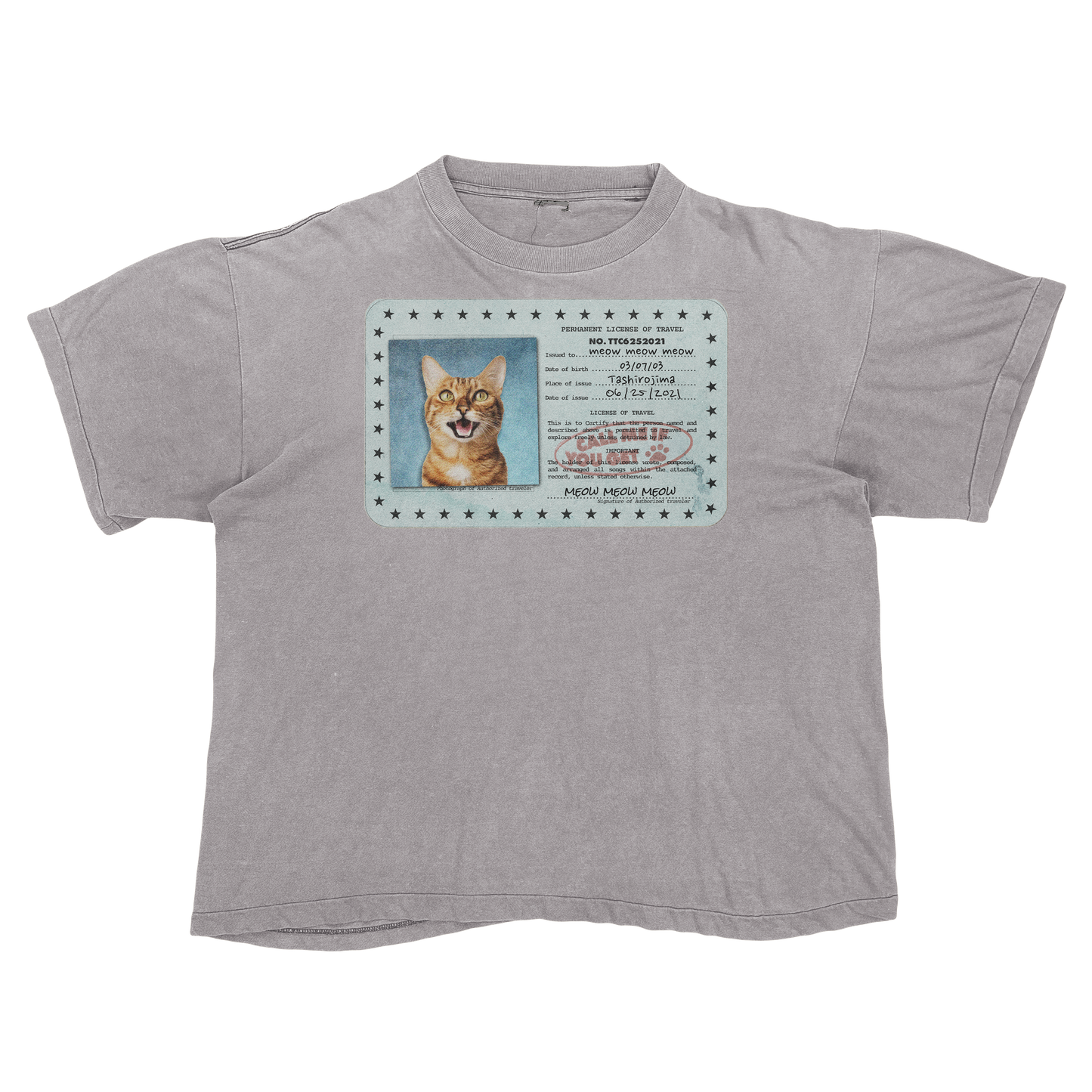 Tyler, The Creator "Call Me If You Get Lost" Cat Parody Tee Shirt