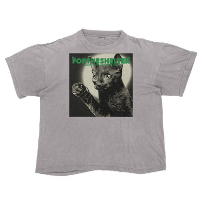 Catokopia - Tyler, The Creator Chromakopia Cat Parody