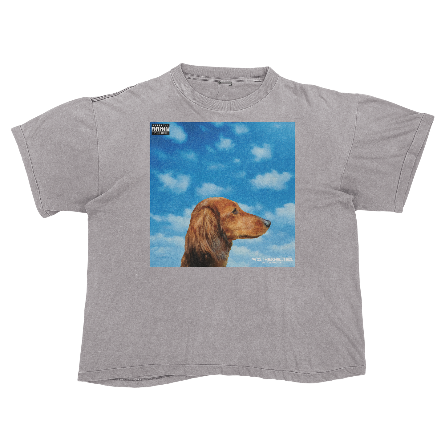 "Drake" Nothing Was The Same Cat Parody Shirt.