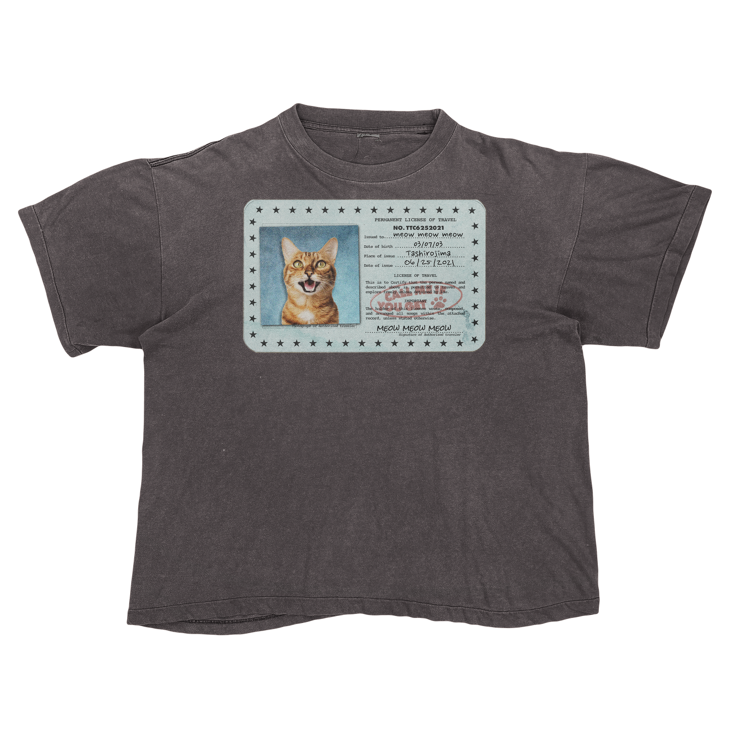 Tyler, The Creator "Call Me If You Get Lost" Cat Parody Tee Shirt