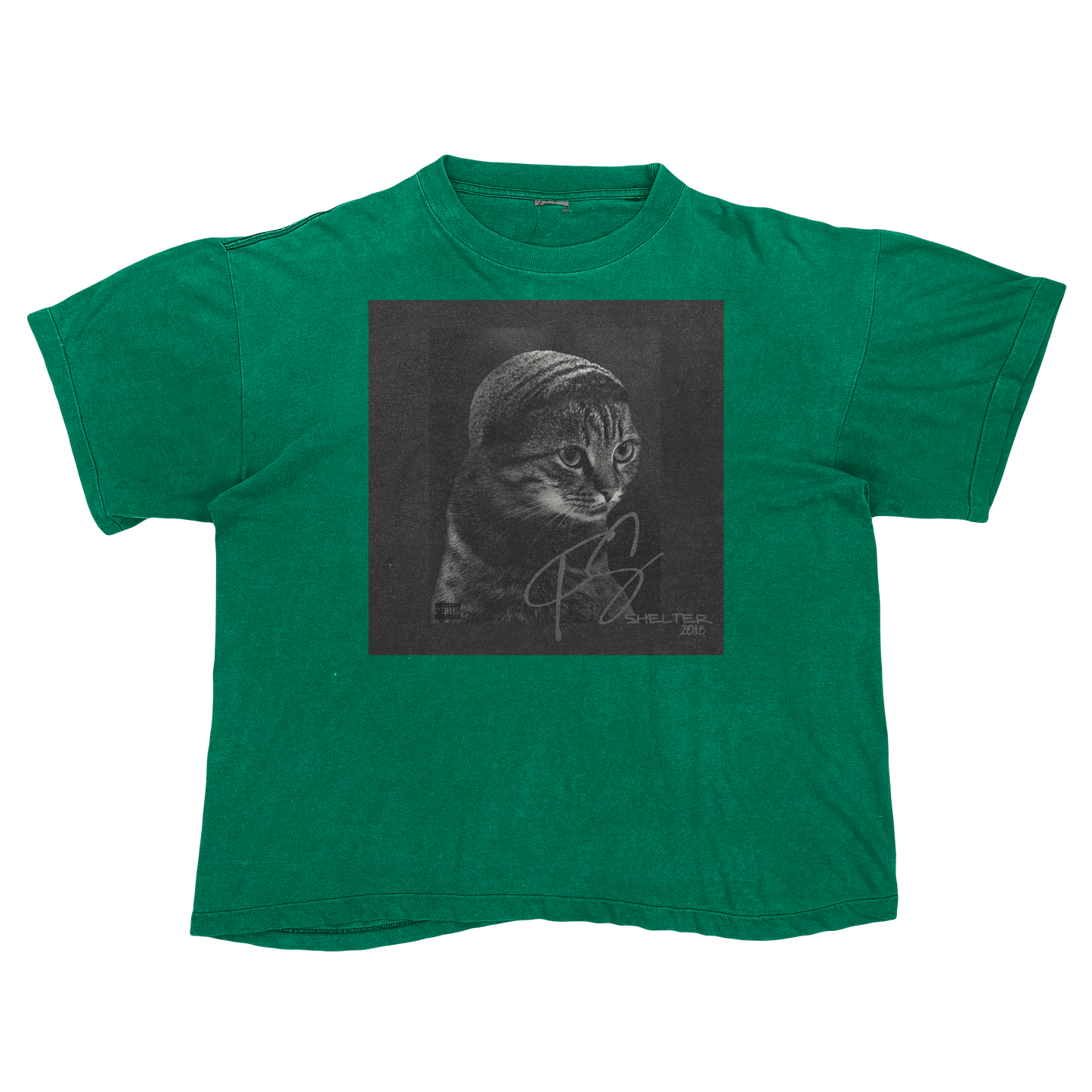 Drake Scorpion Cat Parody Shirt – Funny Album Cover Tee