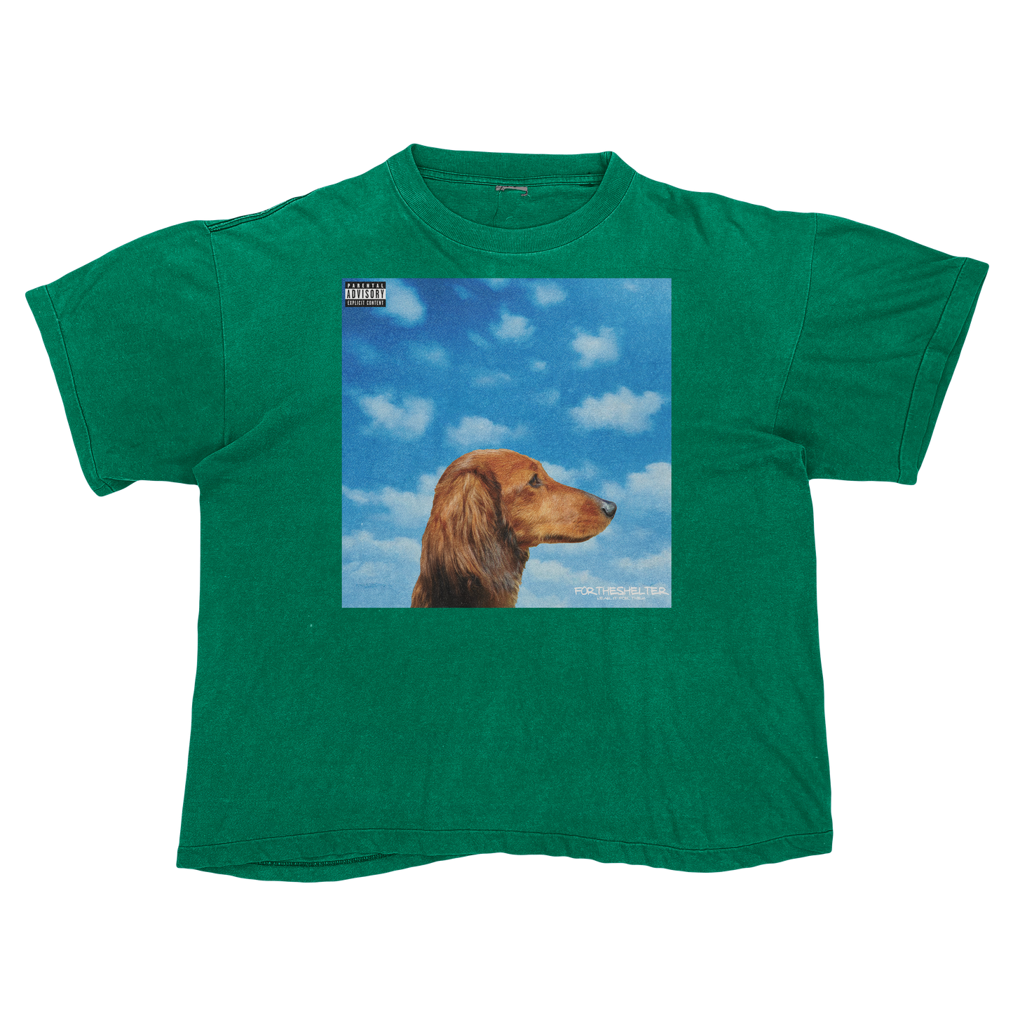 "Drake" Nothing Was The Same Cat Parody Shirt.