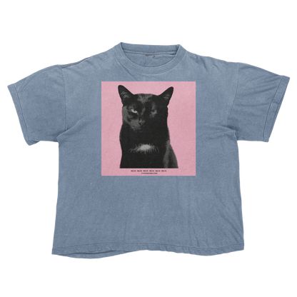 Tyler, The Cat | Tyler, The Creator Igor Parody Tee Shirt