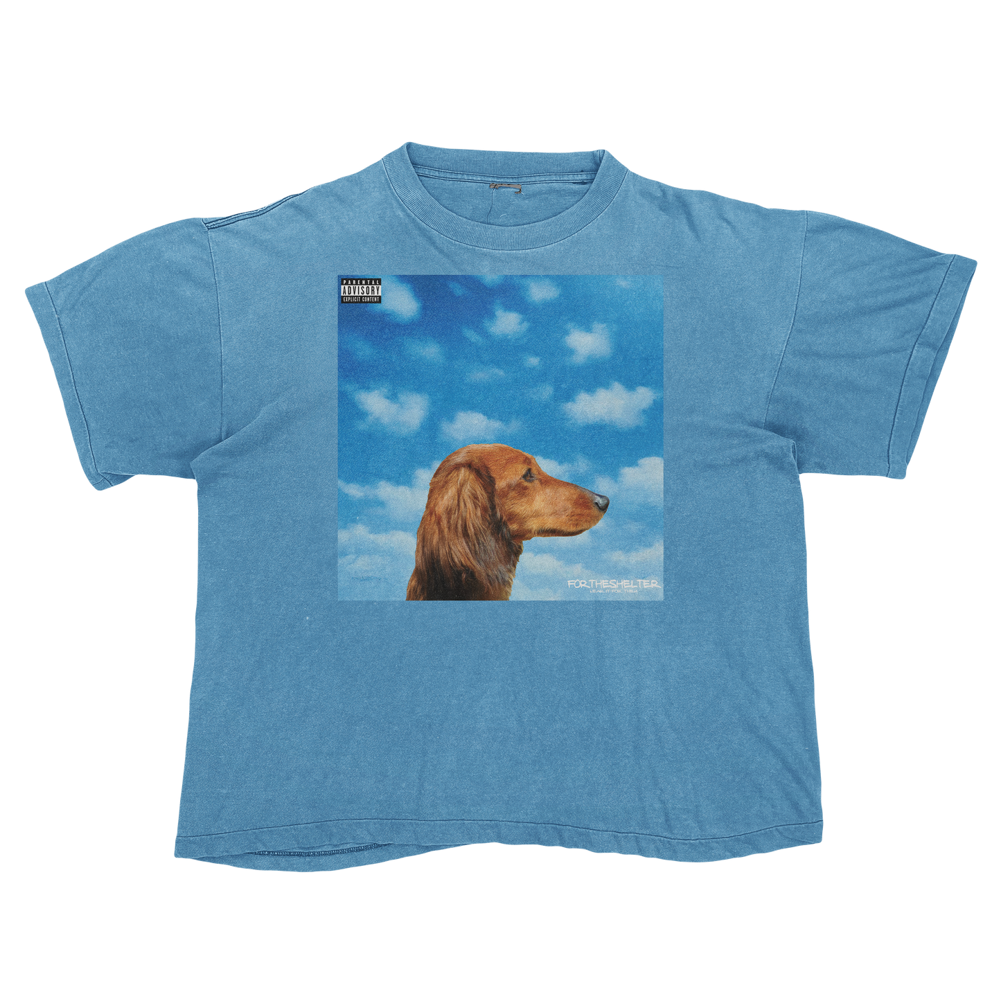 "Drake" Nothing Was The Same Cat Parody Shirt.