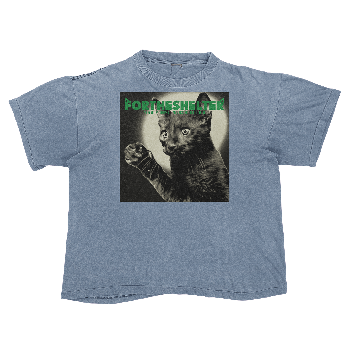 Catokopia - Tyler, The Creator Chromakopia Cat Parody