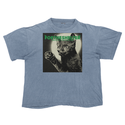 Catokopia - Tyler, The Creator Chromakopia Cat Parody