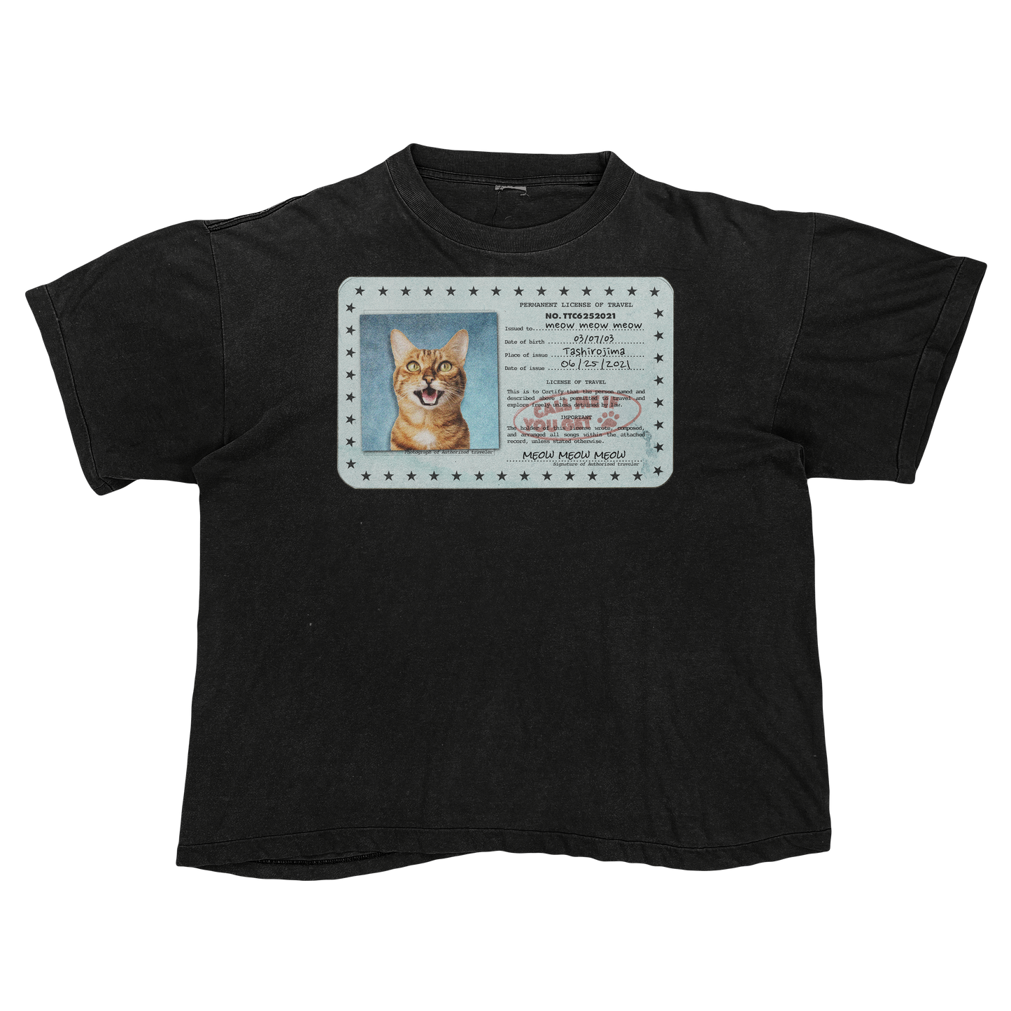 Tyler, The Creator "Call Me If You Get Lost" Cat Parody Tee Shirt