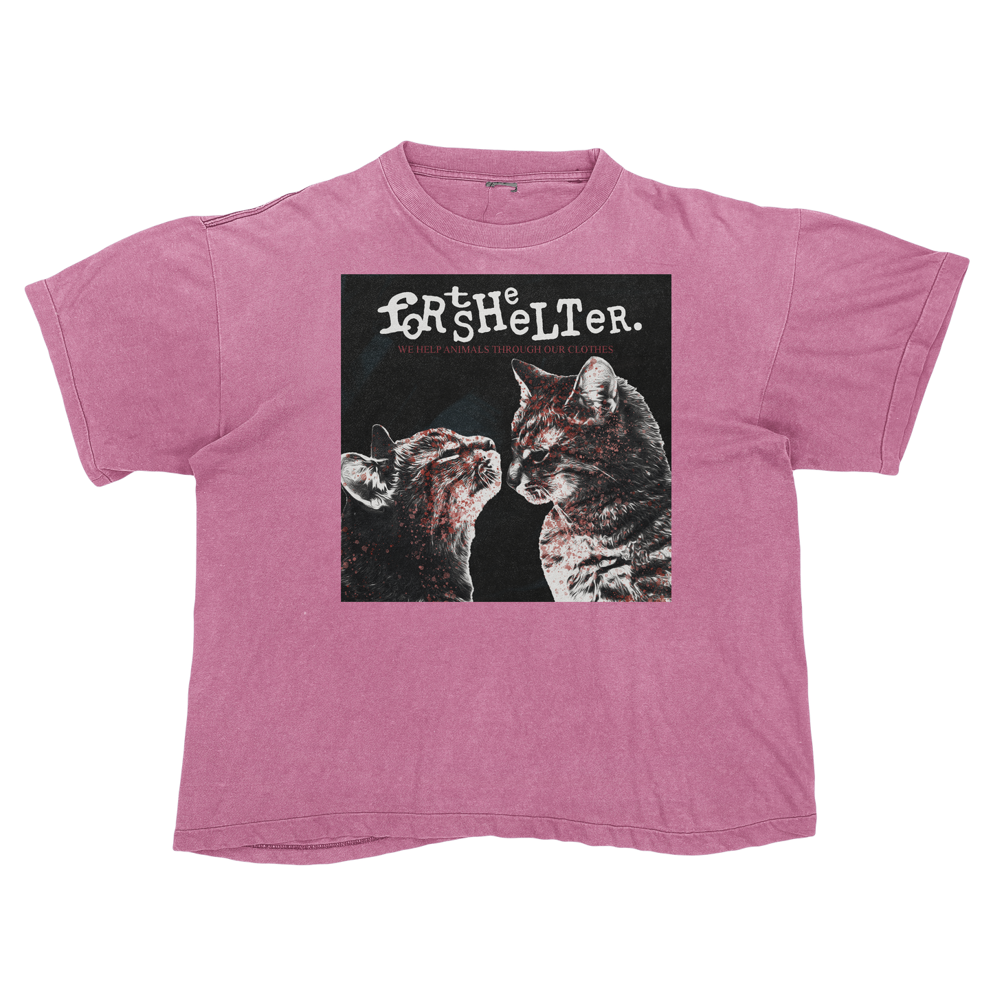 My Catnip Romance's "Purrmolition Lovers" | My Chemical Romance's "Demolition Lovers" Cat Parody