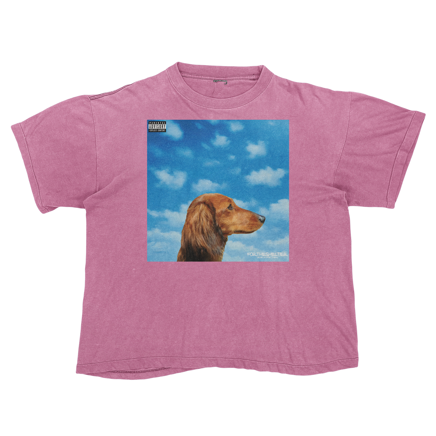 "Drake" Nothing Was The Same Cat Parody Shirt.