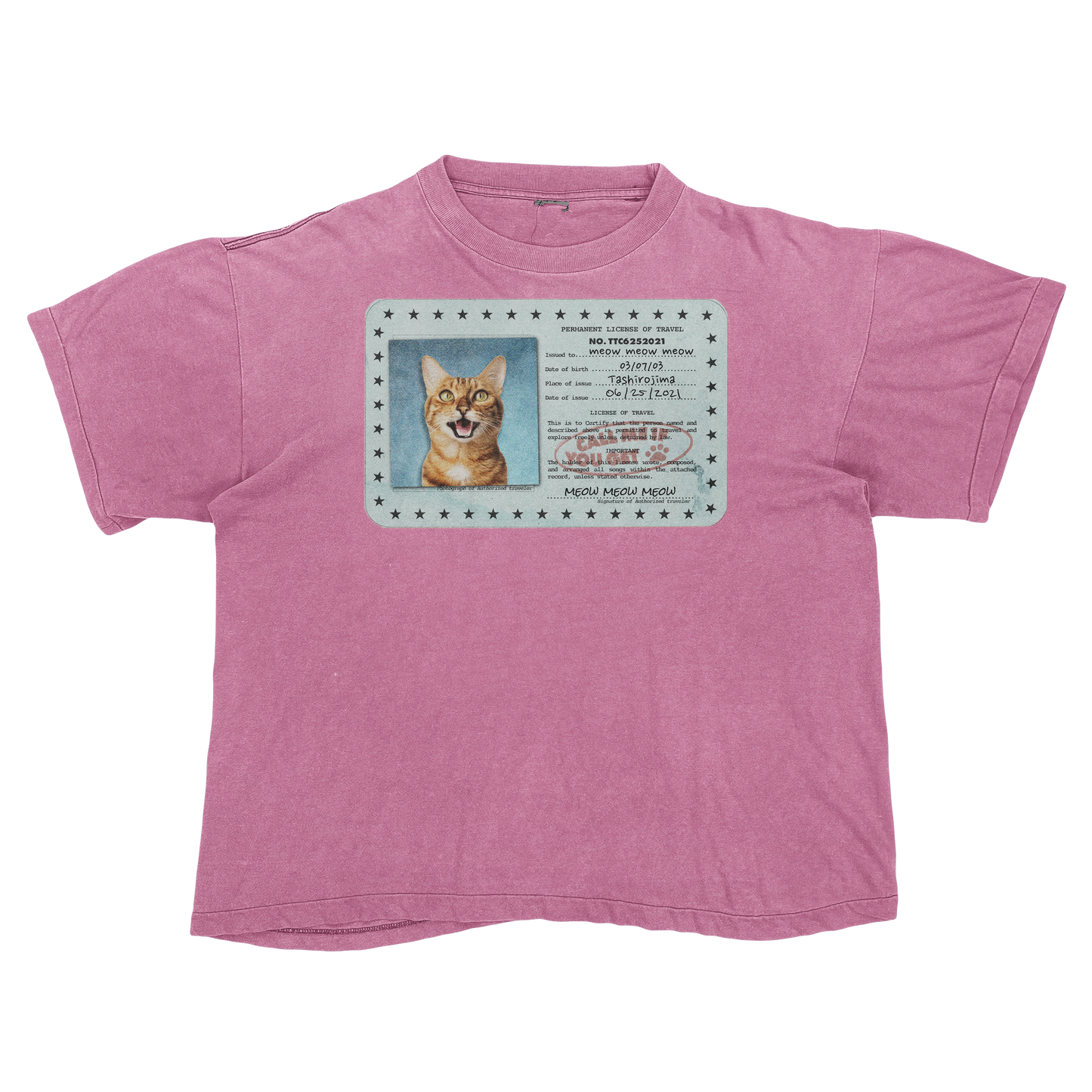 Tyler, The Creator "Call Me If You Get Lost" Cat Parody Tee Shirt