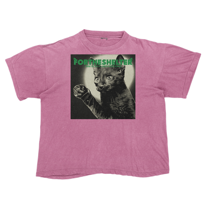 Catokopia - Tyler, The Creator Chromakopia Cat Parody