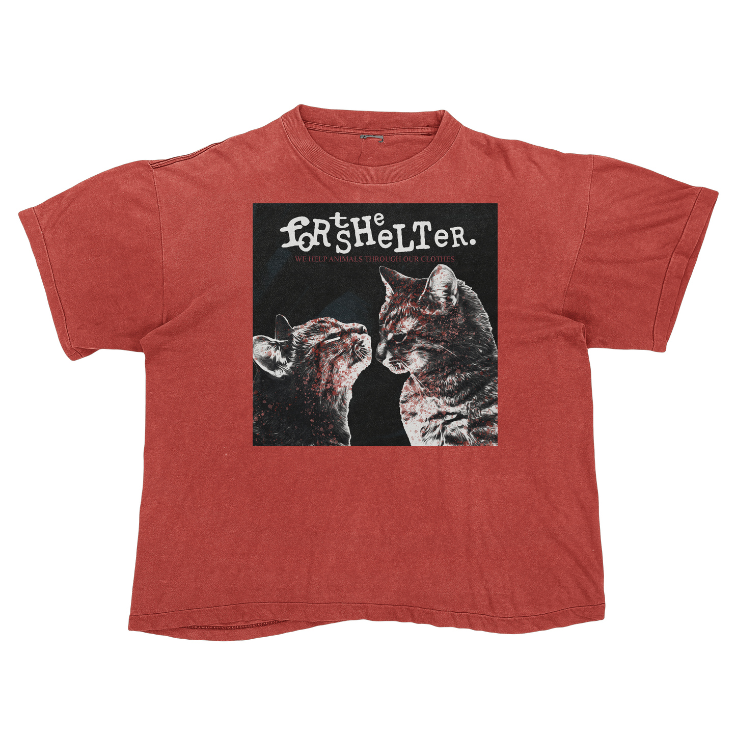 My Catnip Romance's "Purrmolition Lovers" | My Chemical Romance's "Demolition Lovers" Cat Parody