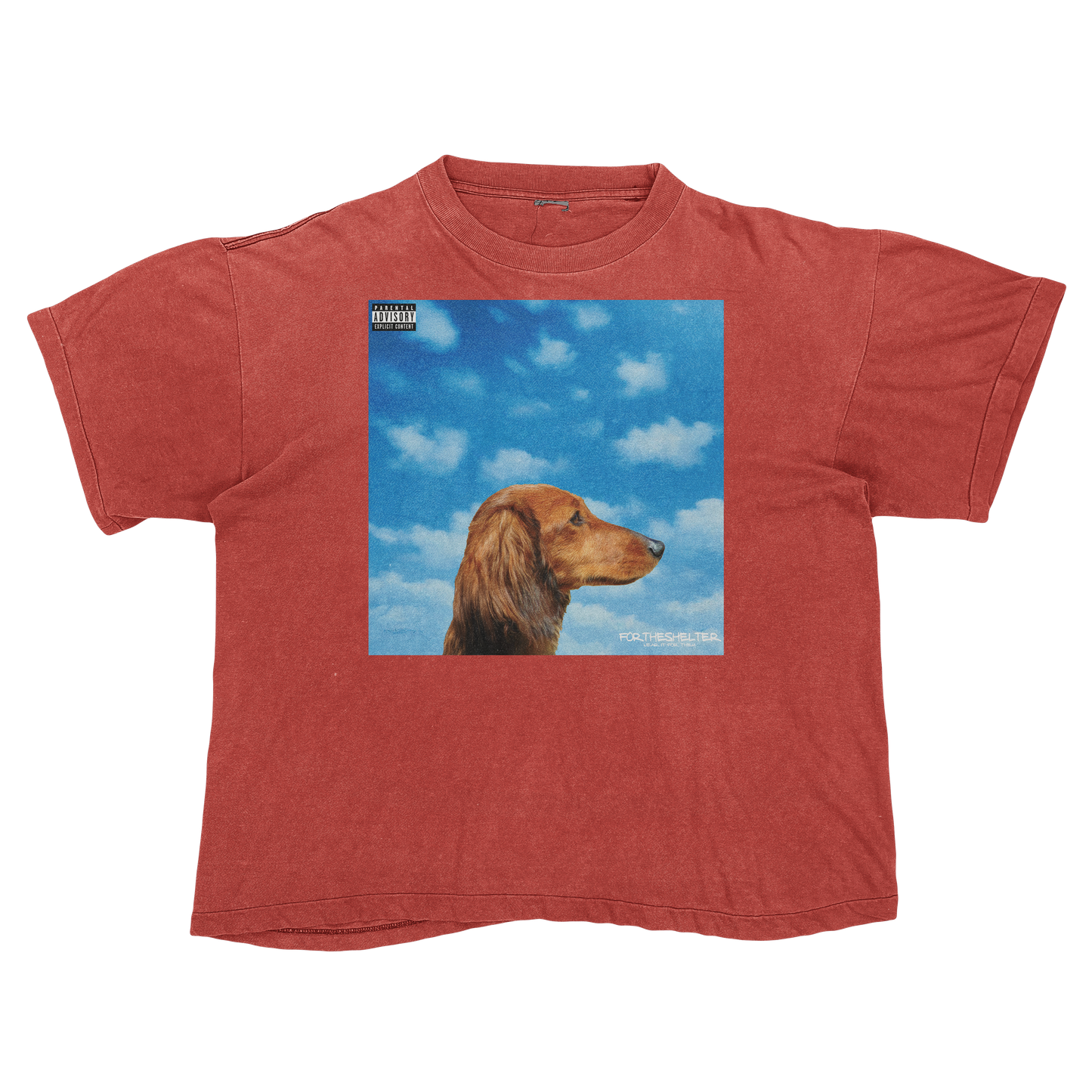 "Drake" Nothing Was The Same Cat Parody Shirt.