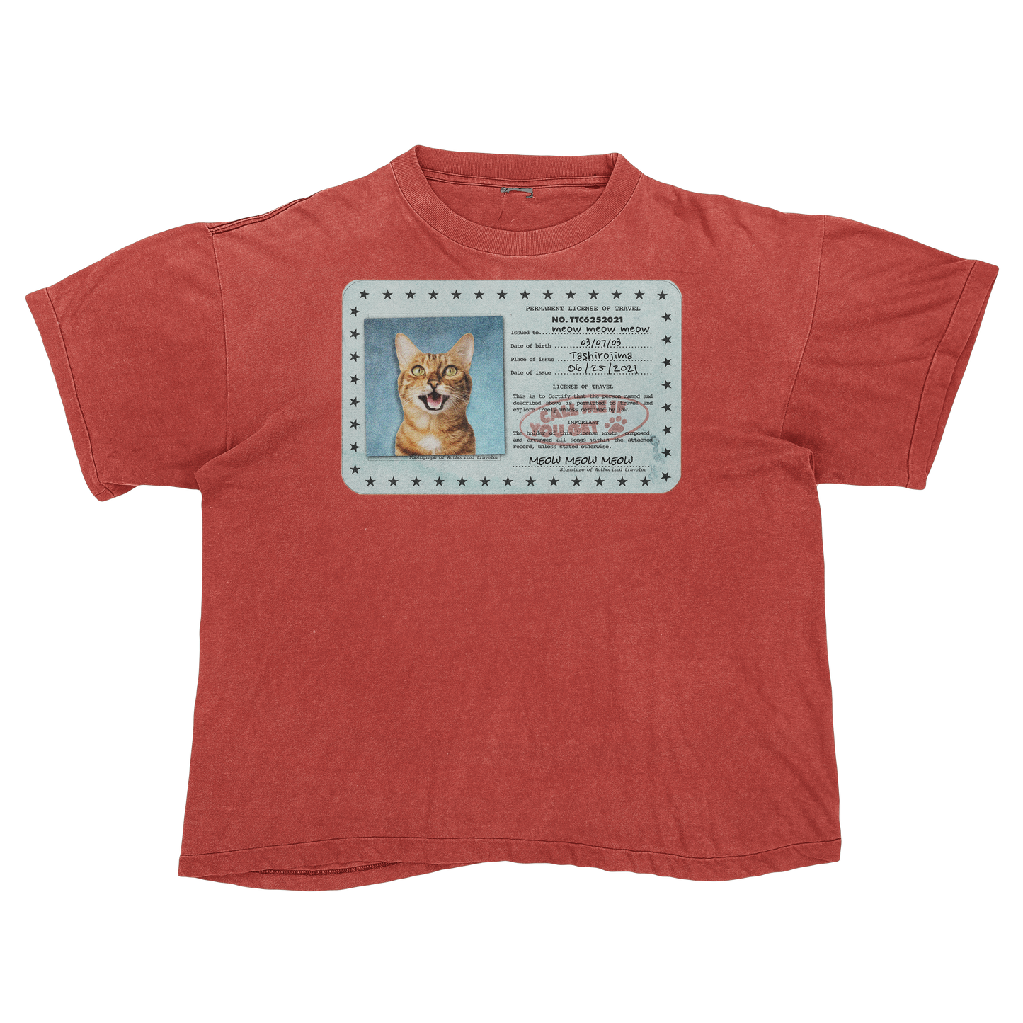 Tyler, The Creator "Call Me If You Get Lost" Cat Parody Tee Shirt