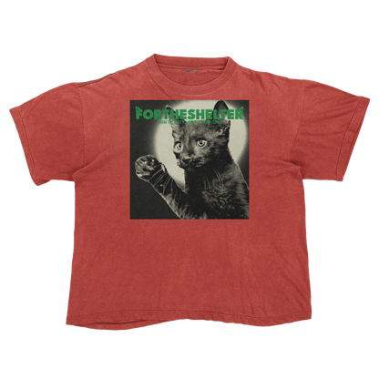 Catokopia - Tyler, The Creator Chromakopia Cat Parody