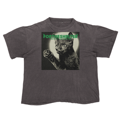 Catokopia - Tyler, The Creator Chromakopia Cat Parody