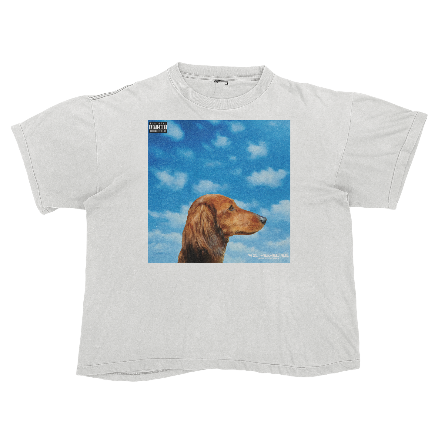 "Drake" Nothing Was The Same Cat Parody Shirt.
