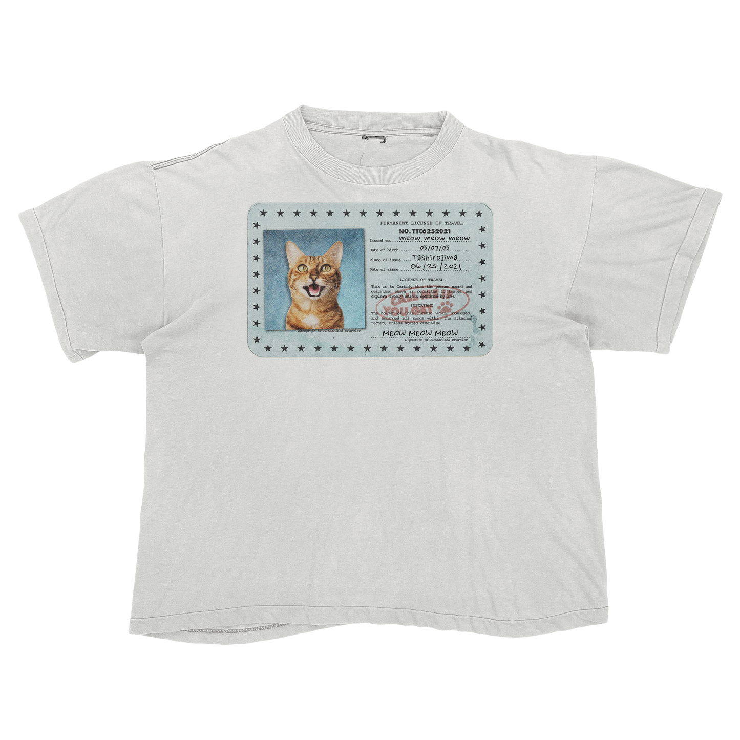 Tyler, The Creator "Call Me If You Get Lost" Cat Parody Tee Shirt